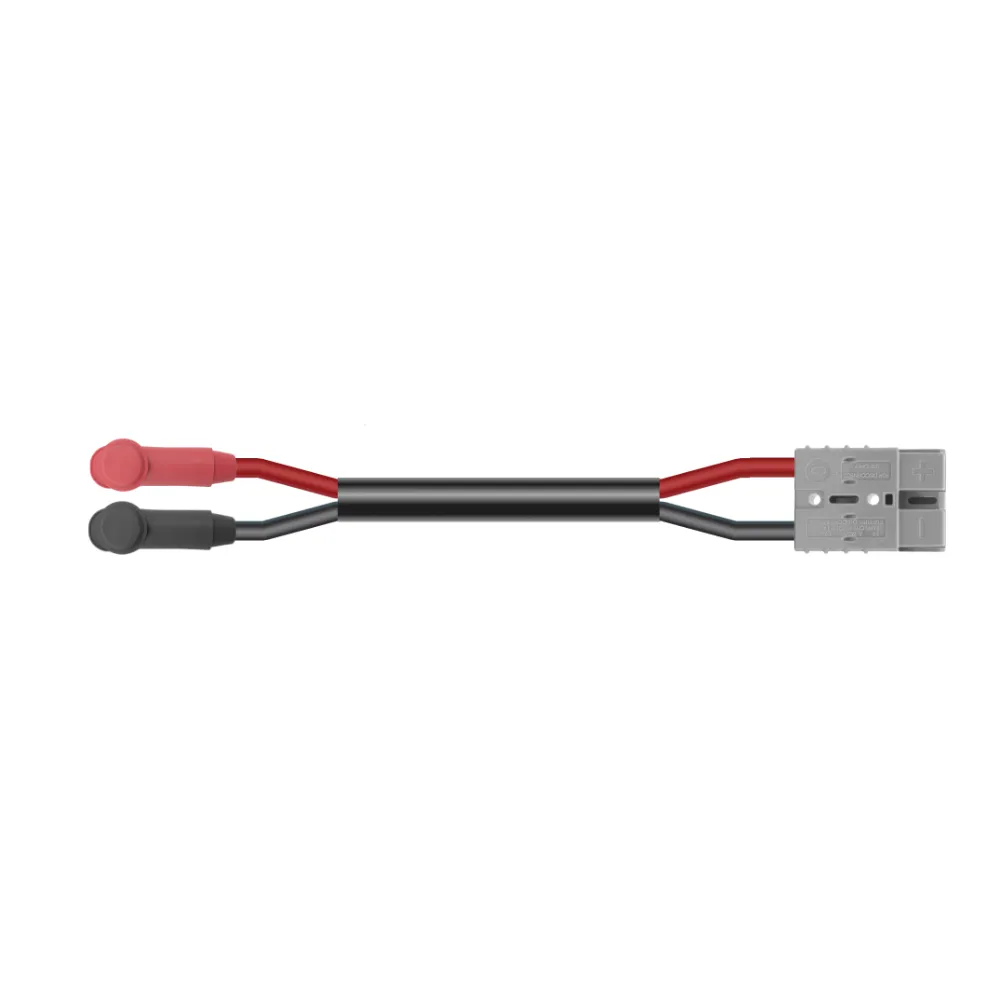 2 B&S Custom Battery Cables (32.07mm²) - Customer's Product with price 57.88 ID 4f-uXqGbrdd36OKk1sJj7FM1