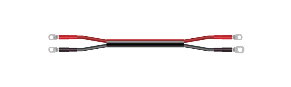 6 B&S Custom Battery Cables (13.50mm²) - Customer's Product with price 27.19 ID pDiQS6hityzMJtnQezEScrWB